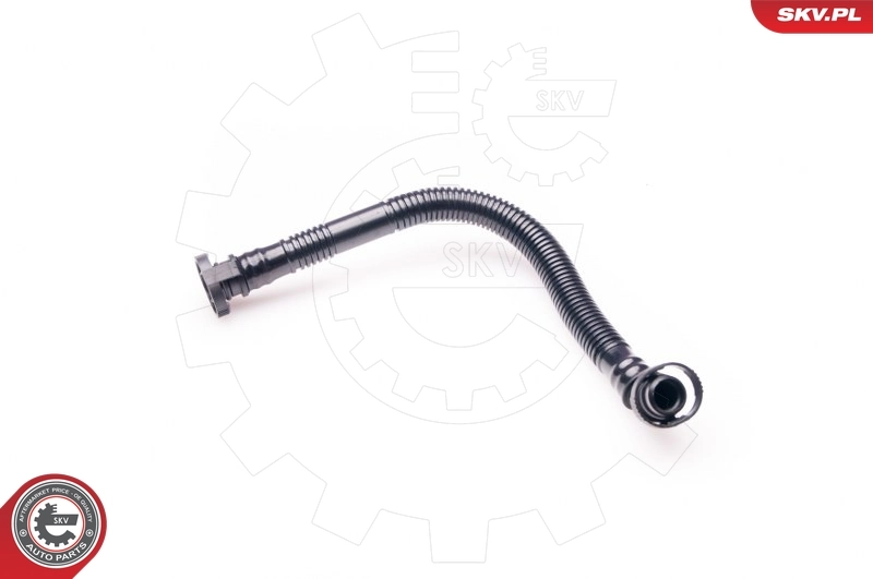 Hose, crankcase ventilation